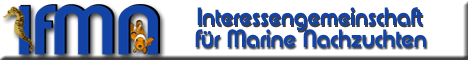 http://www.ifmn.net/images/468x60w.gif