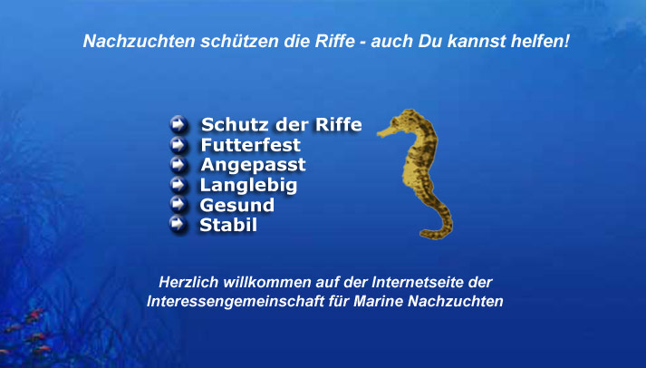 hintergrund_neu2.jpg