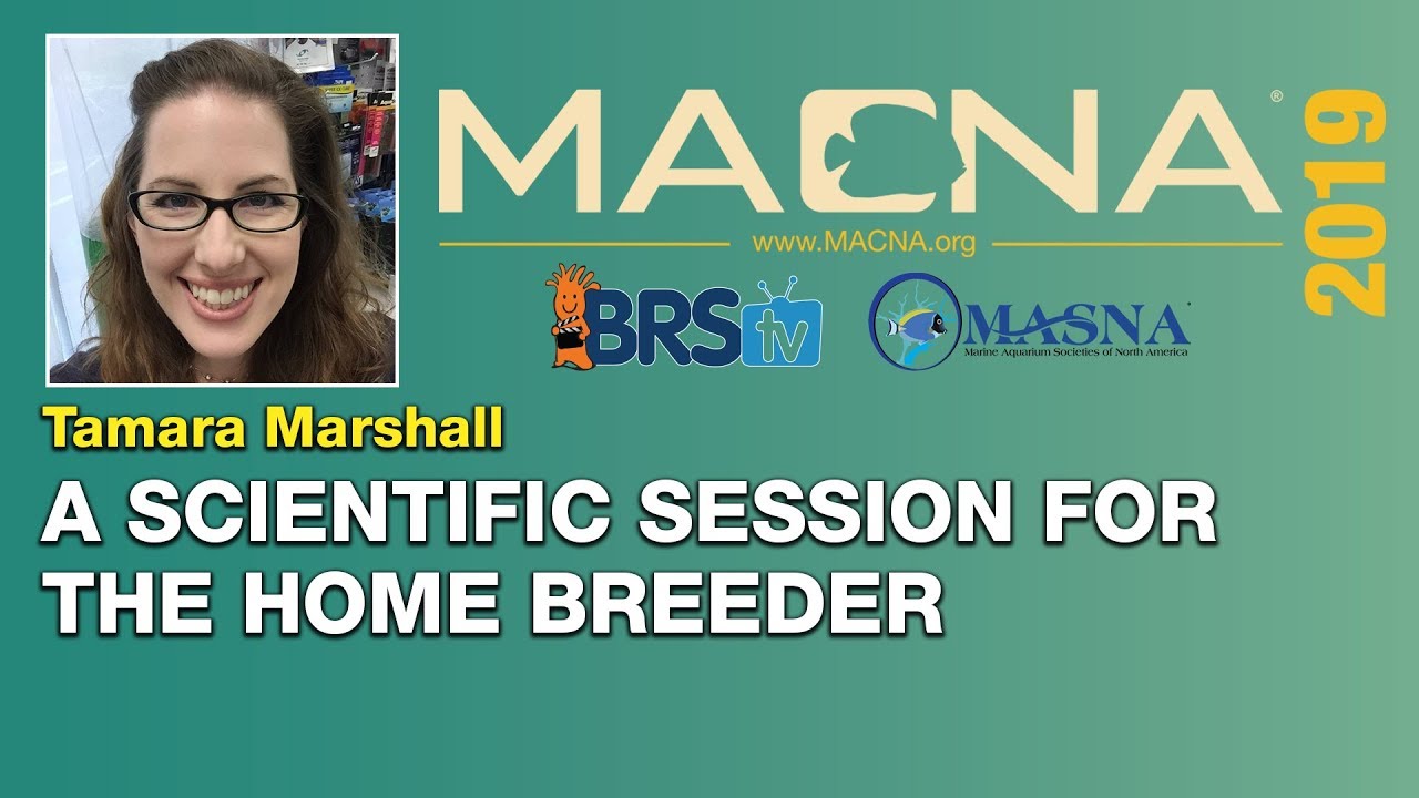 Tamara Marshall: Scientific based tips and techniques for at home breeders. | MACNA 2019