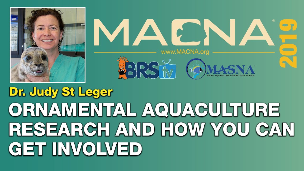 Dr. Judy St. Leger: How hobbyists can help grow the ornamental aquaculture research. | MACNA 2019