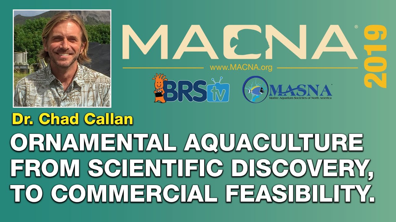 Dr. Chad Callan: Using captive bred aquacultured to reduce pressure on the wild. | MACNA 2019