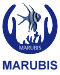 Marubis